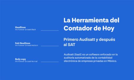 Audisatt: Branding Guidelines by Phidev